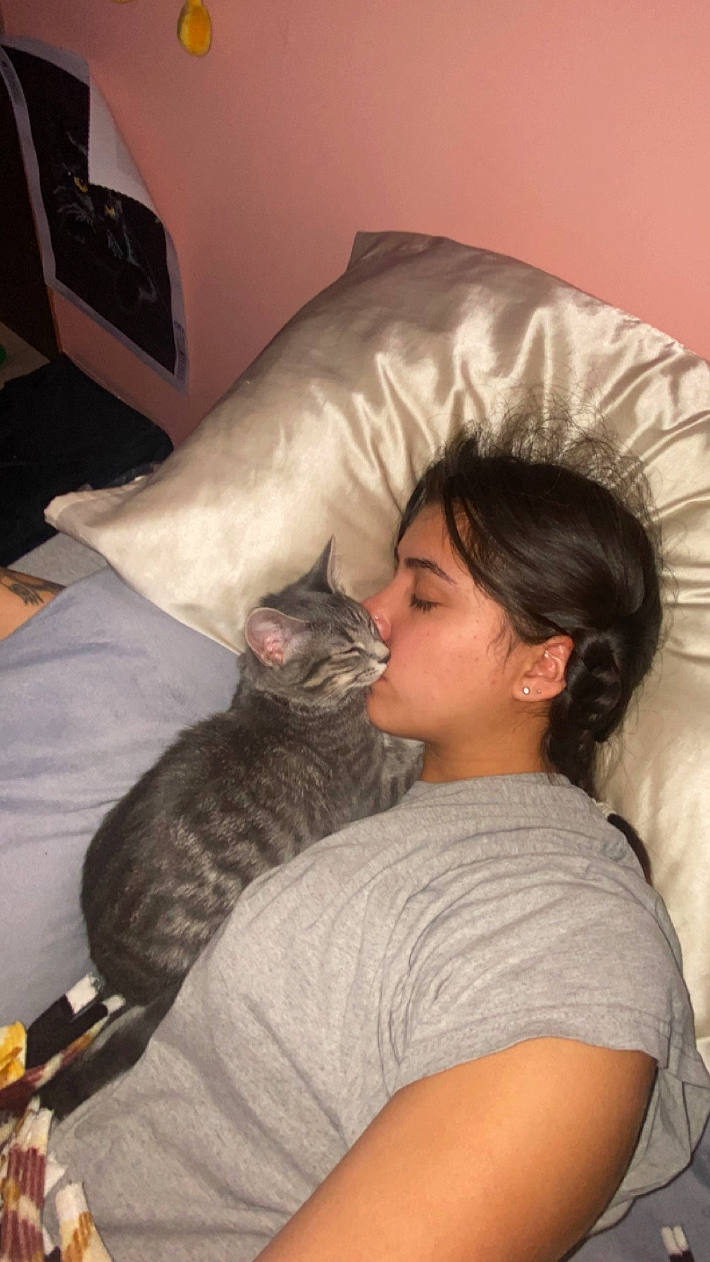 Espurr joined the competition — help win amazing prizes! bed, carnivore, cat, comfort, companion_dog, couch, domestic_short_haired_cat, ear, felidae, fur, lap, linens, nap, room, sitting, small_to_medium_sized_cats, t_shirt, tail, vertebrate, whiskers