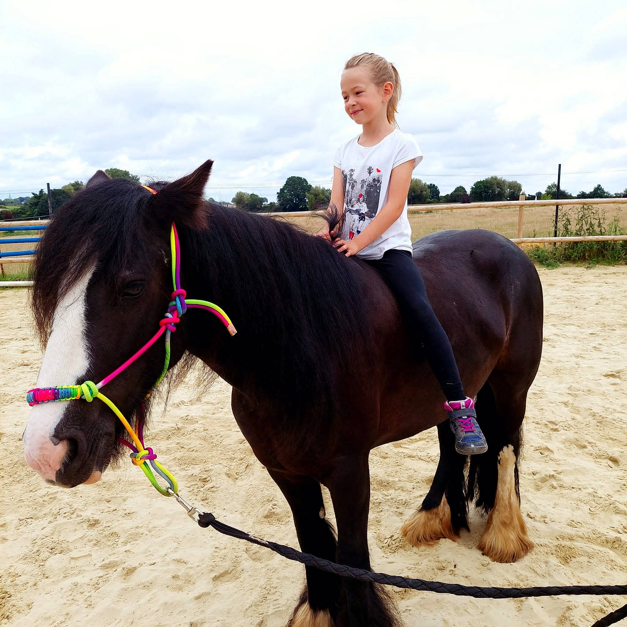 Victoria a rejoint le concours — aidez-le/la à gagner de superbes lots ! bit, bridle, cloud, equestrian_sport, equestrianism, horse, horse_supplies, horse_tack, joy, landscape, mammal, mane, mare, neck, pack_animal, person, recreation, rein, saddle, sky