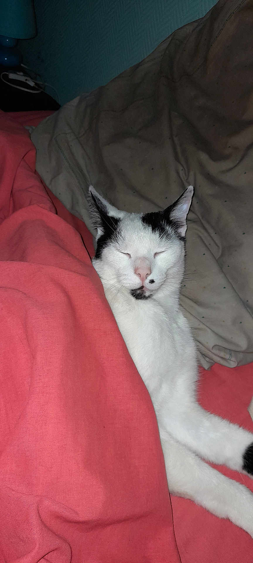 Olaf