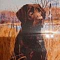 Peggy S.