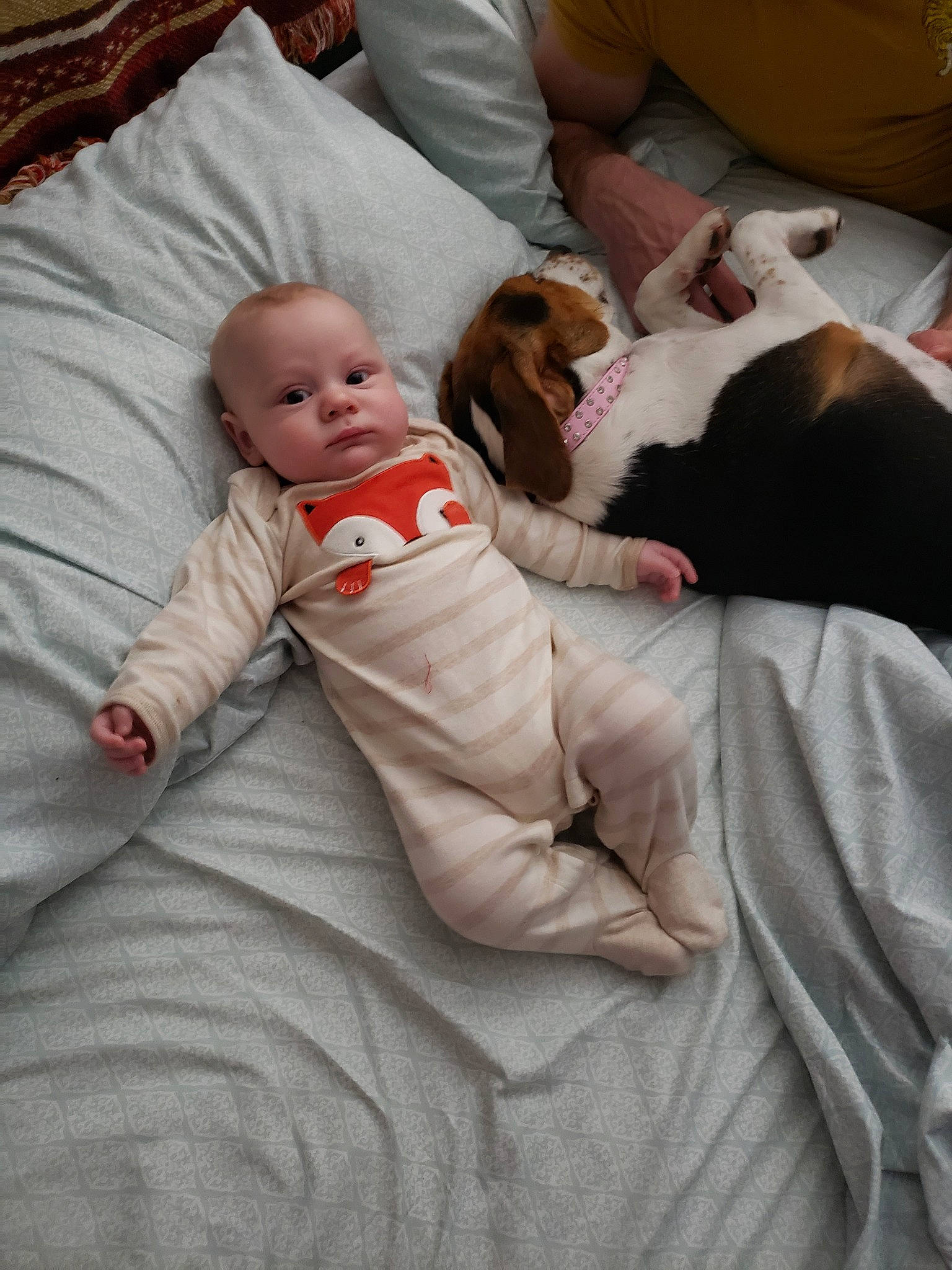 Benjamin joined the competition — help win amazing prizes! baby, baby_sleeping, bedtime, birth, child, comfort, leg, linens, nap, person, sleep, toddler