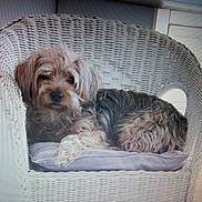 Diamant participe au concours pour gagner de l'argent avec cette photo :