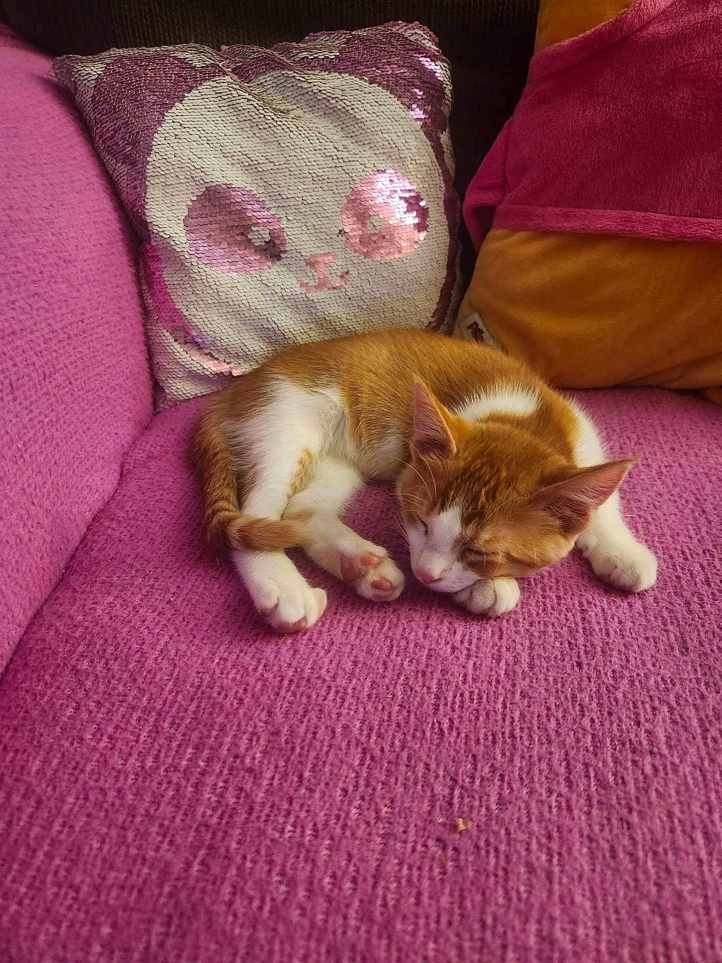 Gizmo