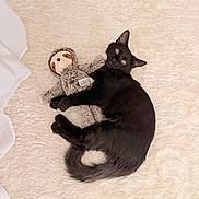 Tuffy is registered to the contest to win money with this photo: animal, bed, black_cat, black_fur, blanket, cat, cozy, cuddling, cute, fluffy, indoors, kitten, lying_down, pet, playful, plush_toy, portrait, sloth, stuffed_animal, yellow_eyes