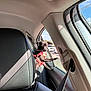 Hazel Marie is registered to the contest to win money with this photo: animal, black_dog, car_door, car_interior, car_seat, curious, daytime, dog, dog_harness, leather_seat, outdoor_view, pet, road, seatbelt, shadow, small_dog, sunlight, travel, vehicle, window