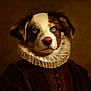 dog, portrait, costume, vintage_clothing, ruffled_collar, brown_fur, white_fur, blue_eyes, pet, animal, noble, historical_style, studio_lighting, dramatic, classic, elegant, close_up, fancy_dress, serious_expression, artistic