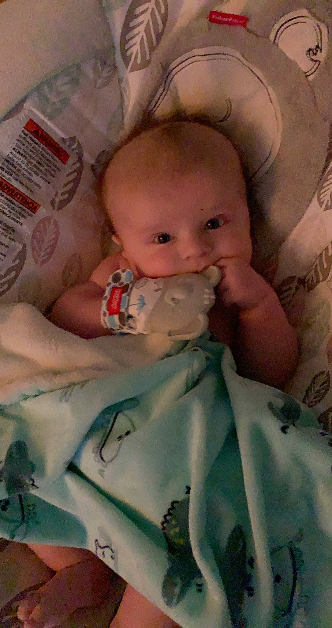 Jaxx joined the competition — help win amazing prizes! arm, baby, cheek, chin, comfort, eye, eyebrow, face, facial_expression, hand, head, human, human_body, lip, mouth, neck, nose, person, product, skin