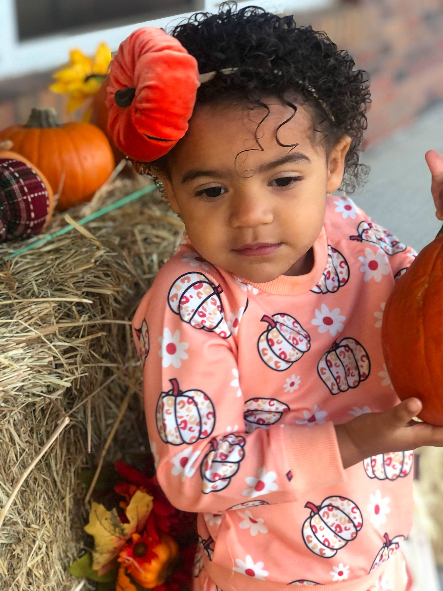 Tammarlyn is registered to the contest to win money with this photo: adaptation, arm, calabaza, cucurbita, eye, face, hand, happy, head, mouth, nose, orange, organ, people, people_in_nature, person, plant, pumpkin, skin, temple
