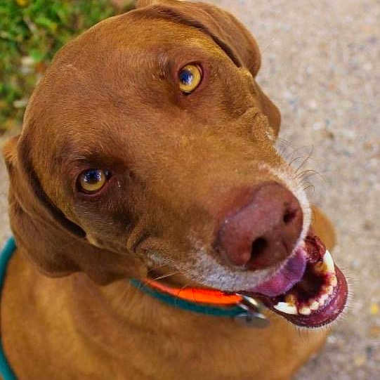 Riley joined the competition — help win amazing prizes!