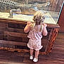 toddler, child, alligator, glass_enclosure, wooden_floor, braided_hair, pigtails, pink_outfit, shoes, curiosity, animal, reptile, indoor, wood_paneling, standing, back_view, young_child, exploration, nature, museum