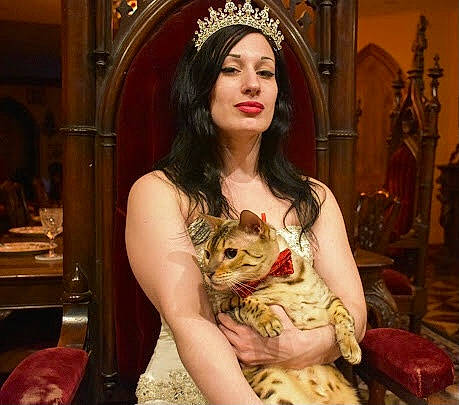 Rajah is registered to the contest to win money with this photo: brown_hair, carnivore, cat, chair, dress, event, fashion_design, felidae, formal_wear, fun, fur, iris, jewellery, lap, long_hair, makeover, organ, picture_frame, small_to_medium_sized_cats, whiskers