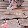 puppy, dog, wicker_chair, wooden_deck, collar, pink, cute, pet, outdoor, small_dog, fur, animal, curious, looking_up, stone, rustic, playful, young, adorable, pet_accessory