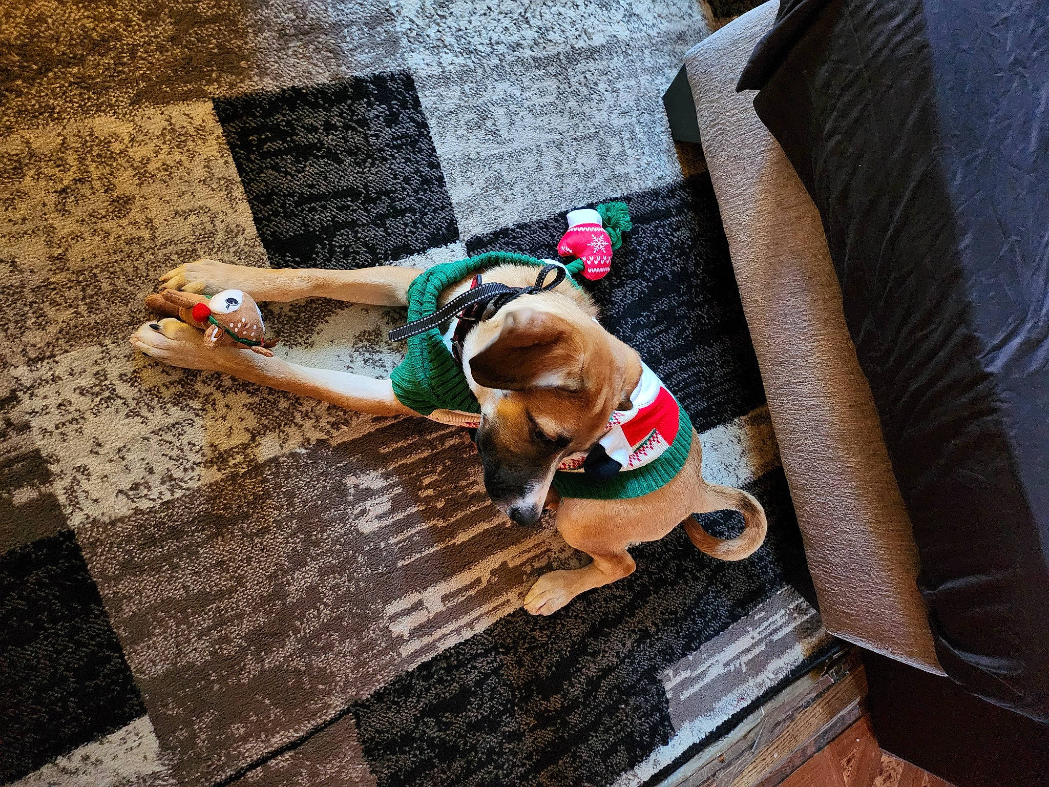 Autumn is registered to the contest to win money with this photo: barechested, barefoot, eyewear, fawn, flooring, foot, grass, human_leg, knee, leisure, recreation, road, road_surface, shorts, sidewalk, sitting, sunglasses, thigh, waist, wood