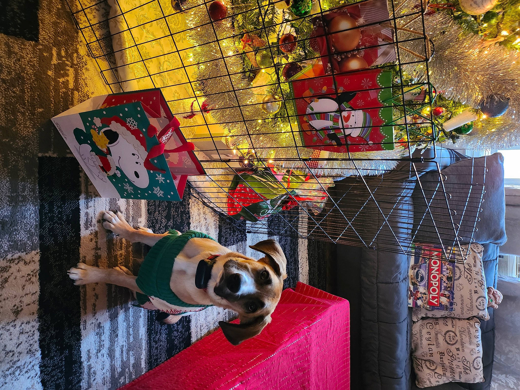 Autumn joined the competition — help win amazing prizes! art, brick, carnivore, companion_dog, dog, dog_breed, dog_supply, facade, fawn, flooring, graffiti, mural, pattern, plant, toy, tree, visual_arts, wood, working_animal, world