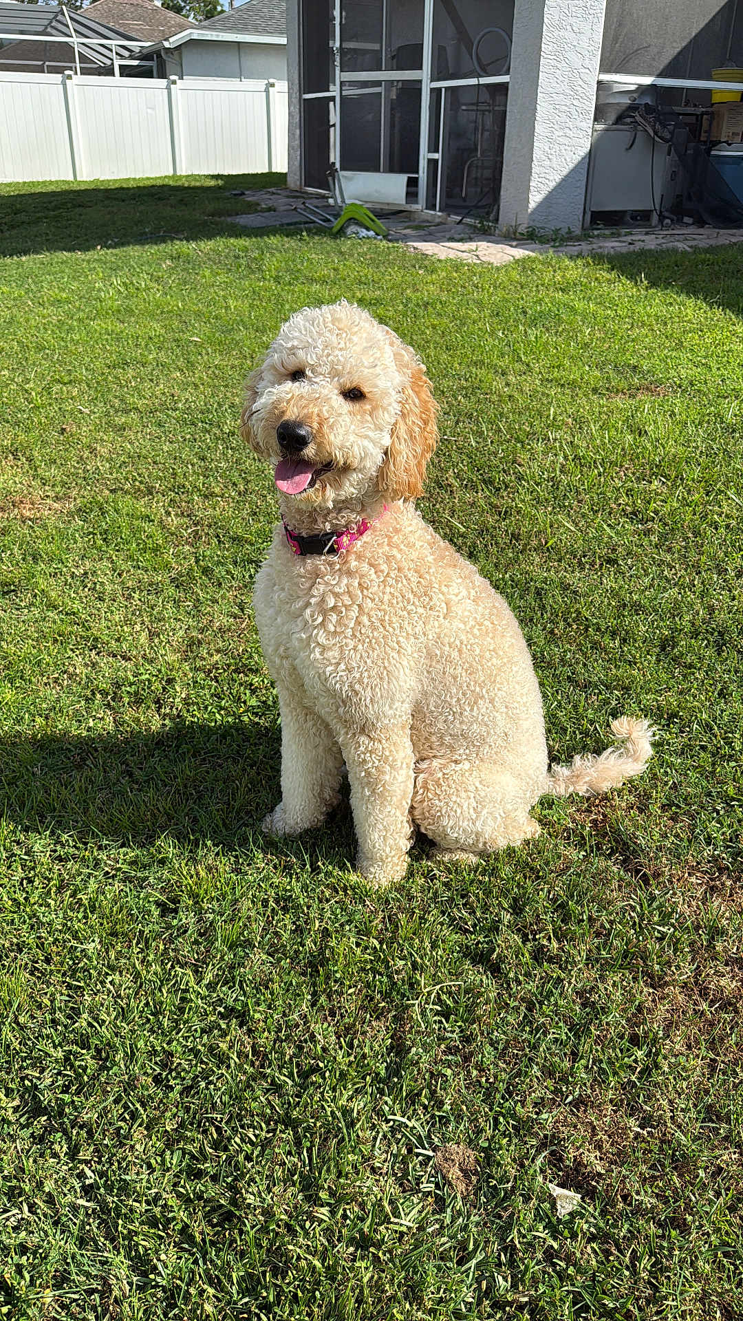 Nala