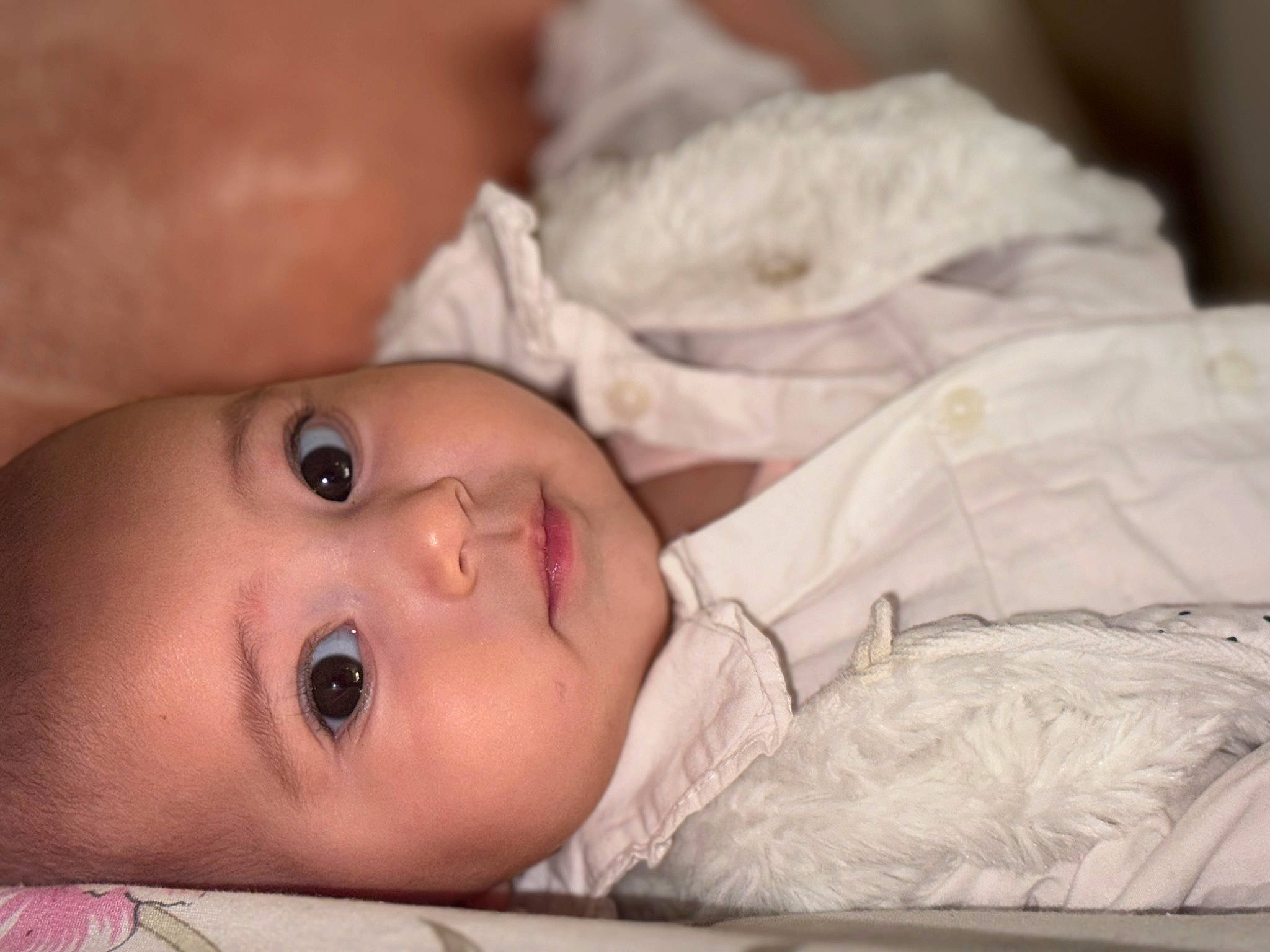 Keissy participe au concours pour gagner de l'argent avec cette photo : baby, baby_toddler_clothing, cheek, child, chin, comfort, eyebrow, eyelash, forehead, fur, grass, happy, iris, lip, mouth, nose, person, portrait_photography, skin, smile