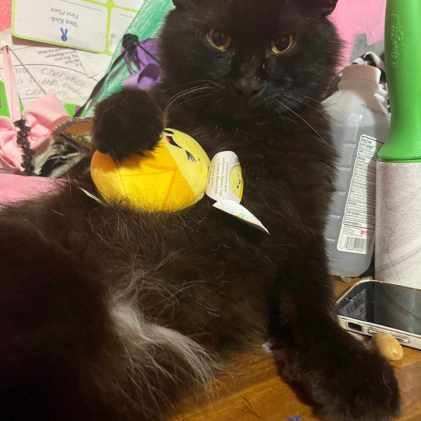 Lican is registered to the contest to win money with this photo: animal, black_cat, cat_paw, closeup, cluttered_background, curious, domestic_cat, feline, fur, household_items, indoor, lint_roller, pet, plush_toy, relaxed, resting, toy, whiskers, wooden_surface, yellow_toy
