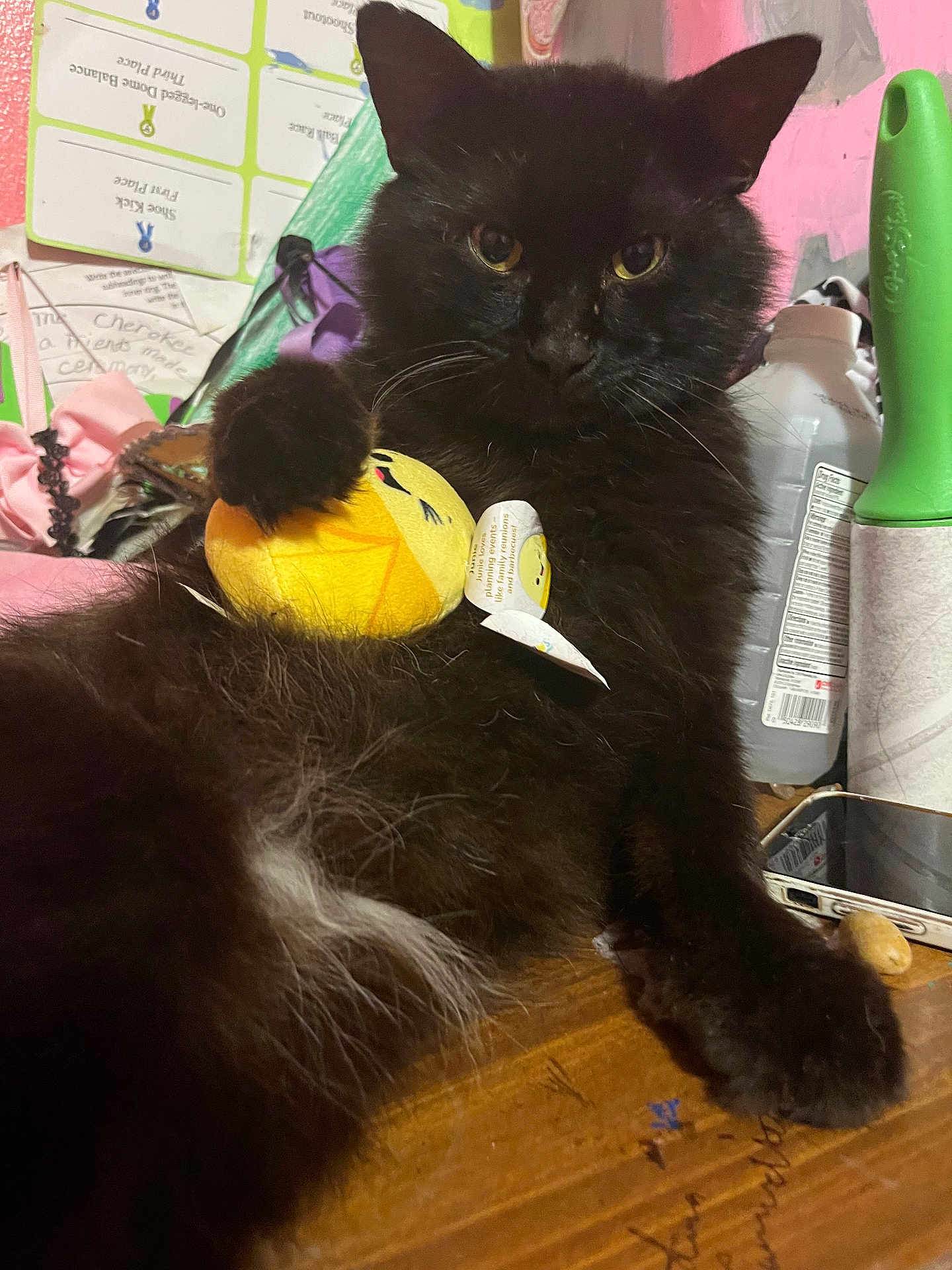Lican is registered to the contest to win money with this photo: animal, black_cat, cat_paw, closeup, cluttered_background, curious, domestic_cat, feline, fur, household_items, indoor, lint_roller, pet, plush_toy, relaxed, resting, toy, whiskers, wooden_surface, yellow_toy