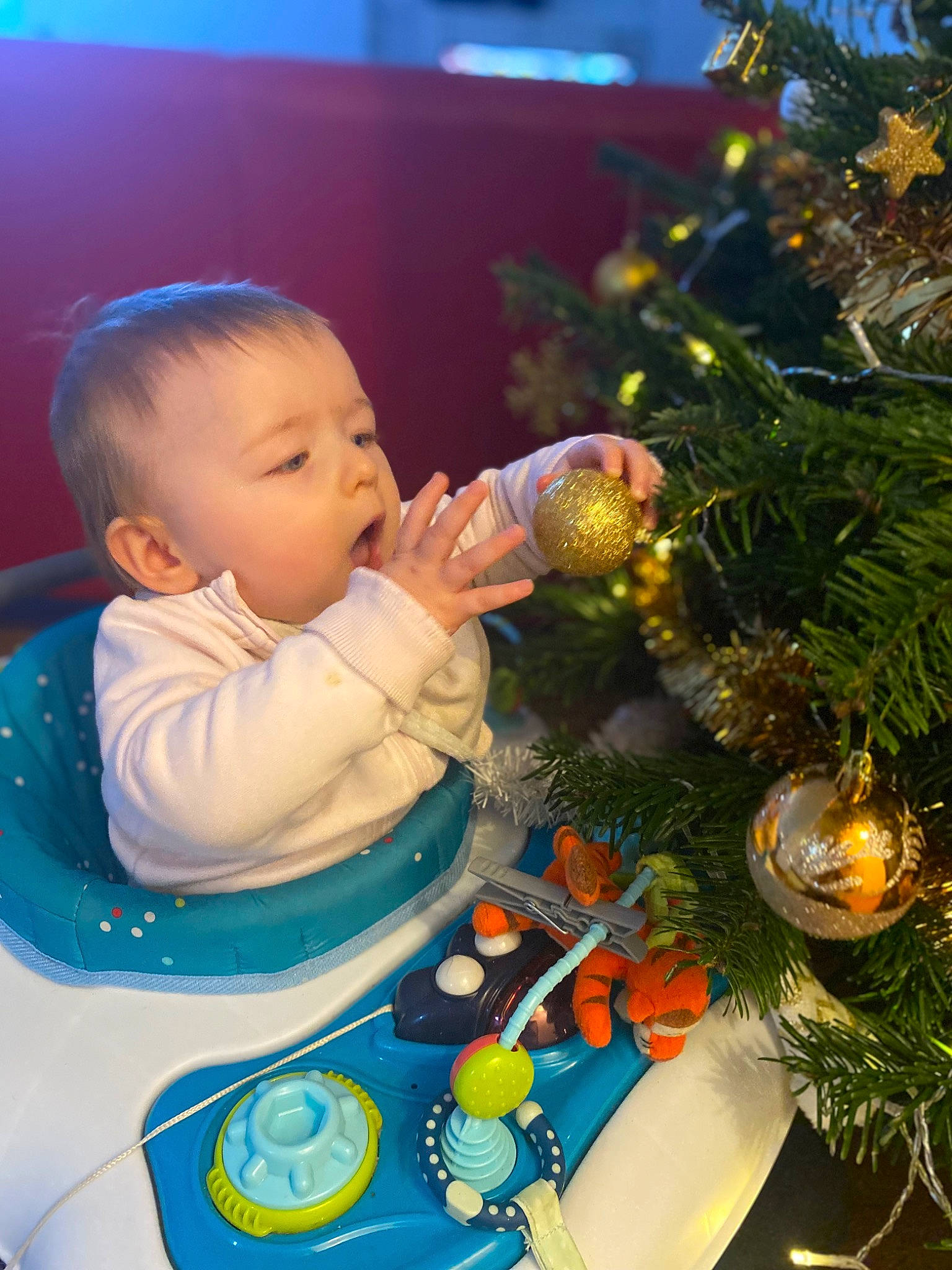 Elisa a rejoint le concours — aidez-le/la à gagner de superbes lots ! baby, baby_toddler_clothing, bib, blue, child, christmas_decoration, christmas_eve, christmas_ornament, christmas_tree, conifer, drinkware, event, evergreen, happy, holiday, holiday_ornament, ornament, person, plant, toddler