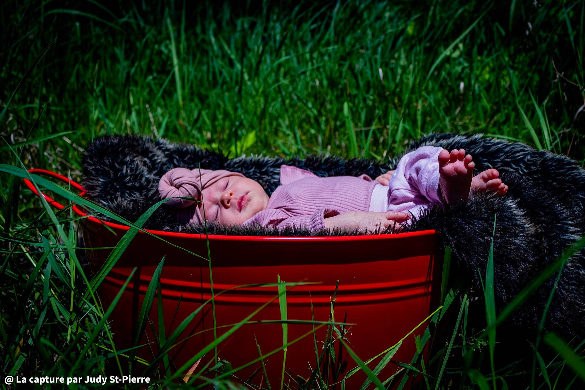 Lyhana participe au concours pour gagner de l'argent avec cette photo : baby, carnivore, comfort, companion_dog, dog_breed, dress, grass, grassland, happy, headwear, lawn, leisure, magenta, meadow, natural_environment, natural_landscape, people_in_nature, person, plant, prairie