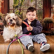 Tchoupi a rejoint le concours — aidez-le/la à gagner de superbes lots ! casual_clothing, child, cozy, curly_hair, cute, dog, flowers, fur, indoor, leash, pet, plants, playful, portrait, shoes, smiling, suitcases, toddler, window, wooden_surface