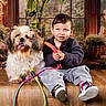toddler, child, dog, pet, shih_tzu, sitting, leash, rainbow, smiling, portrait, indoor, flowers, plants, greenhouse, window, vintage, luggage, wooden_floor, sneakers, family