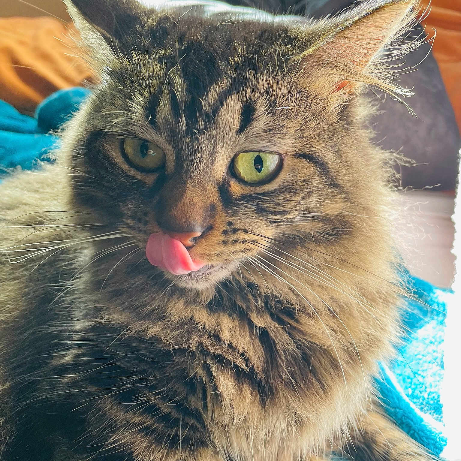 Averie