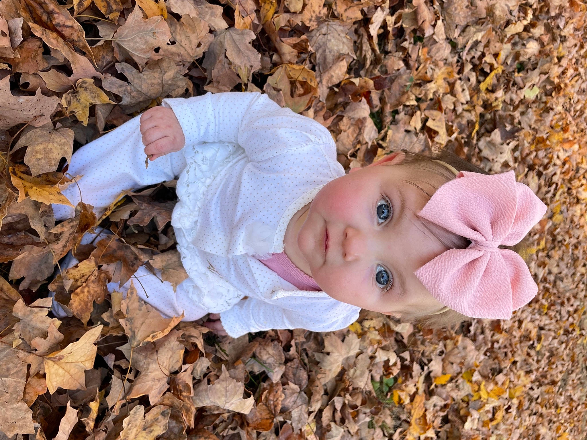 Raelynn is registered to the contest to win money with this photo: baby, baby_toddler_clothing, child, deciduous, eye, face, fur, grass, happy, hat, head, headwear, leaf, people_in_nature, person, plant, portrait_photography, soil, toddler, toy