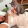 Laki is registered to the contest to win money with this photo: woman, cat, indoor, couch, white_dress, gray_cat, playing, finger, relaxing, cushion, home, pet, lying_down, casual, cozy, portrait, furniture, skin, long_hair, nail