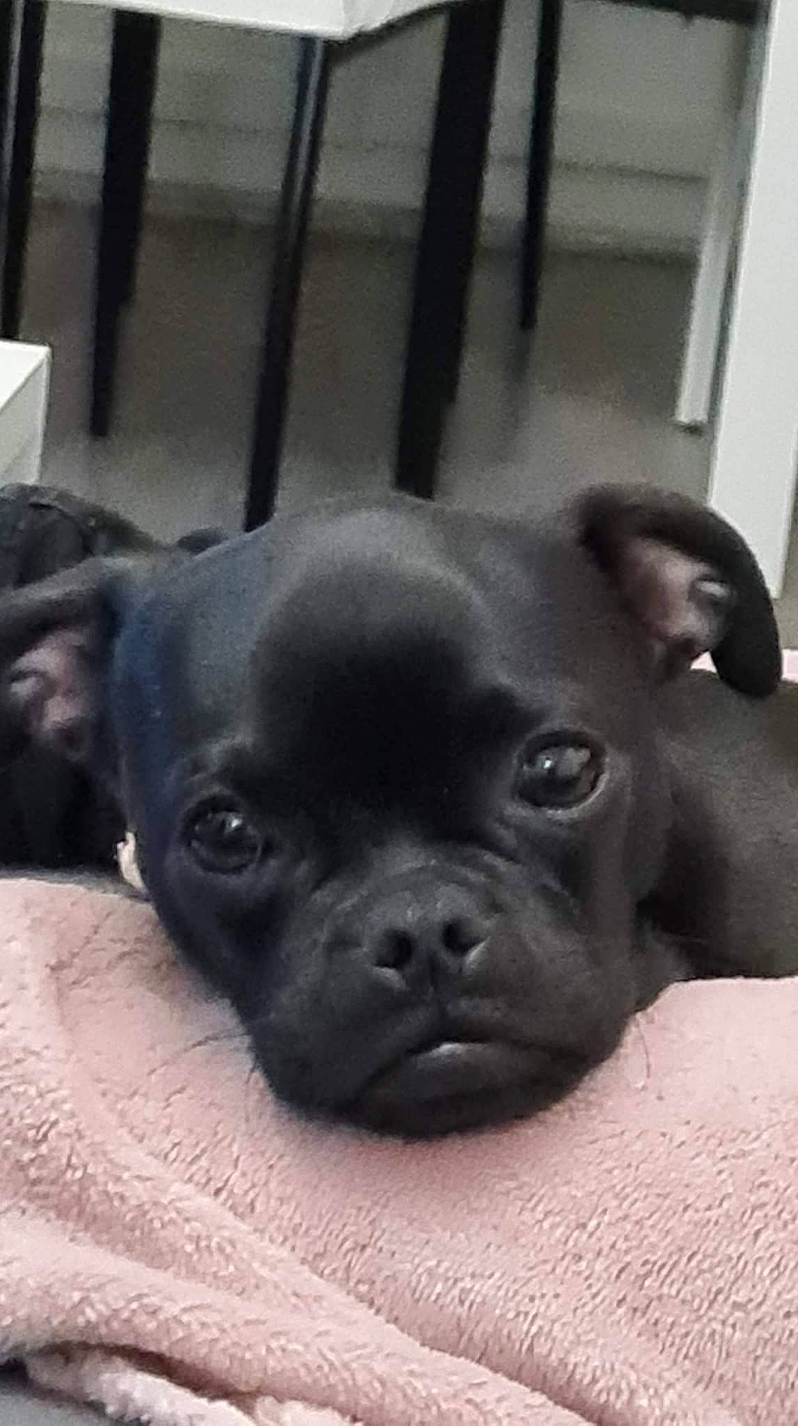 Jack