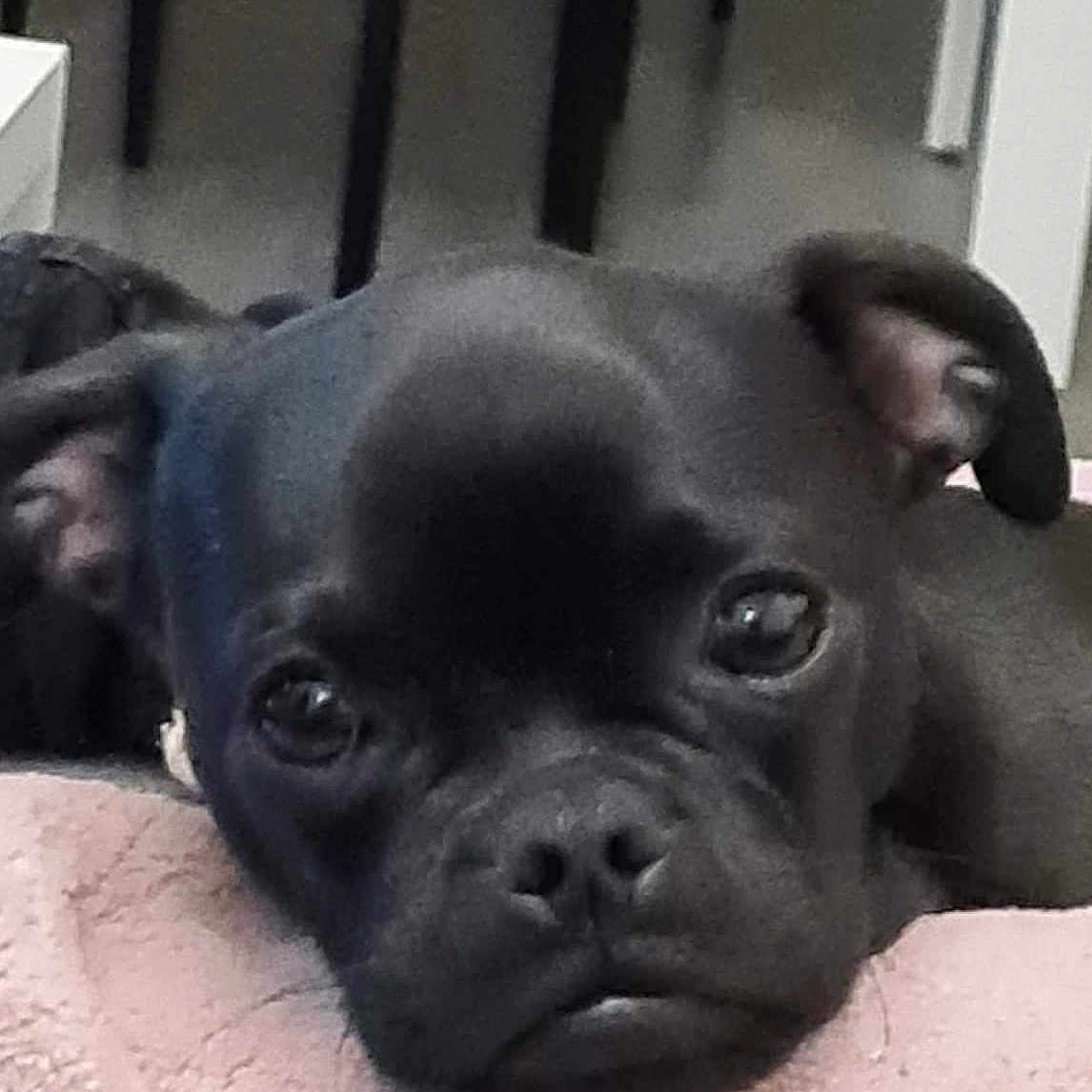 Jack