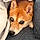 Kitsune