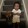 toddler, child, dog, stairs, carpet, smiling, happy, clapping, indoor, wall, shorts, white_shirt, pet, animal, brown_dog, curly_hair, sitting, playful, blur, light