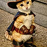 Jax joined the competition — help win amazing prizes! cat, orange_cat, costume, hat, feather, cape, boots, gloves, sword, musketeer, pet, feline, sitting, indoor, couch, carpet, portrait, cute, costumed_animal, fantasy