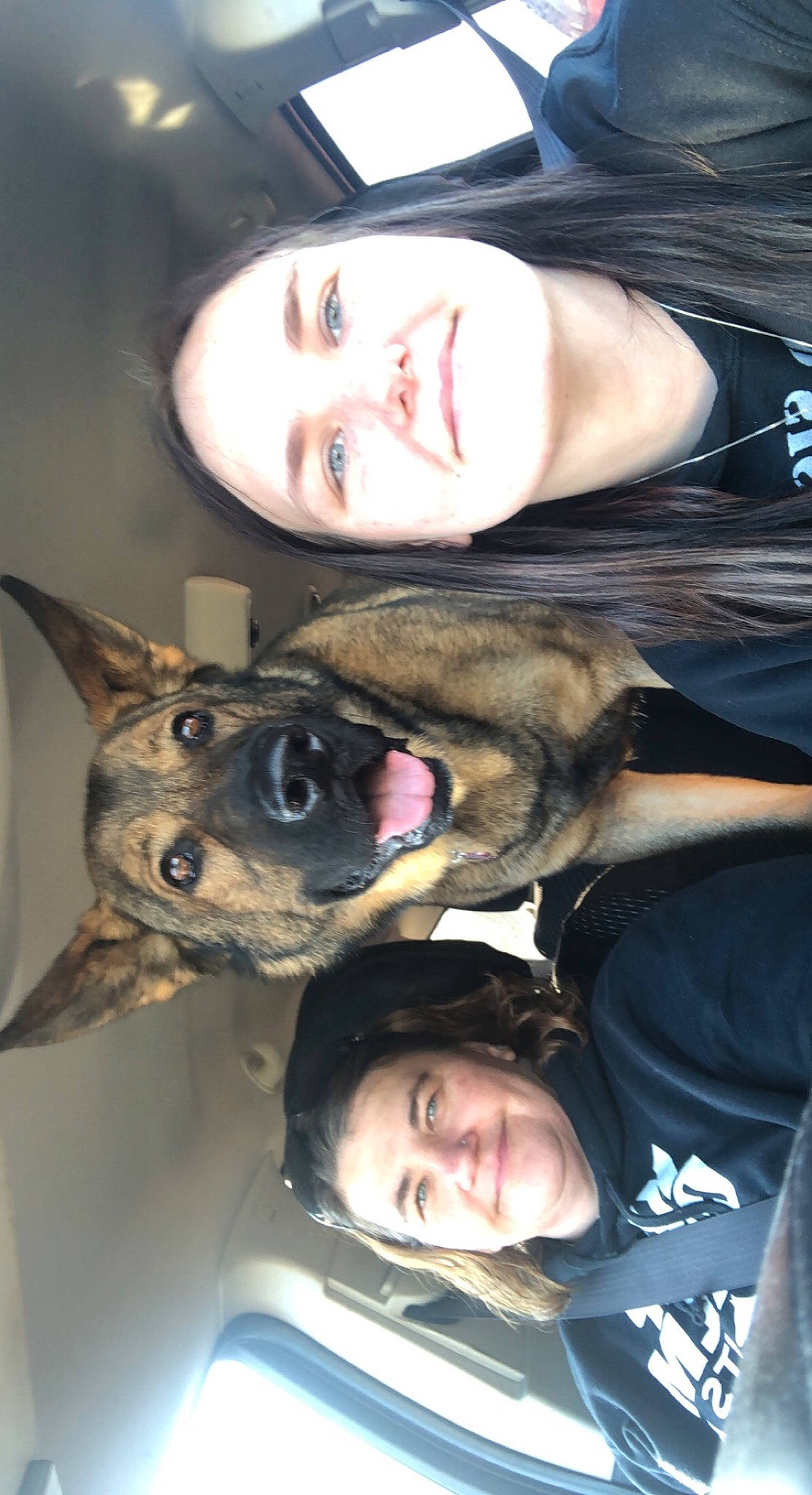 Radek is registered to the contest to win money with this photo: carnivore, cool, dog, dog_breed, ear, eye, facial_expression, fawn, gesture, hair, head, jaw, mammal, mouth, nose, organ, photograph, smile, snout, vertebrate