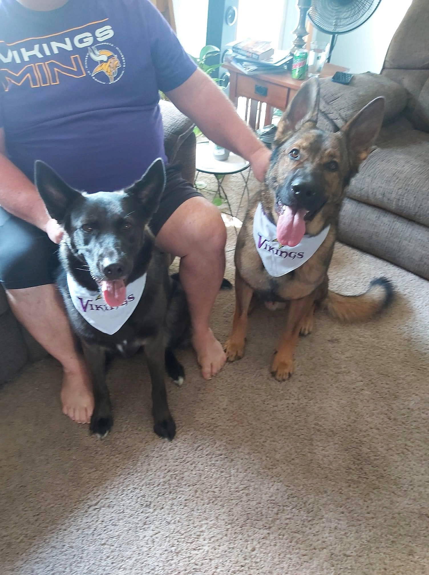 Radek is registered to the contest to win money with this photo: automotive_tire, canidae, carnivore, collar, companion_dog, dog, dog_breed, dog_supply, fashion_accessory, fawn, foot, human_leg, leash, paw, snout, sporting_group, t_shirt, thigh, working_animal, working_dog