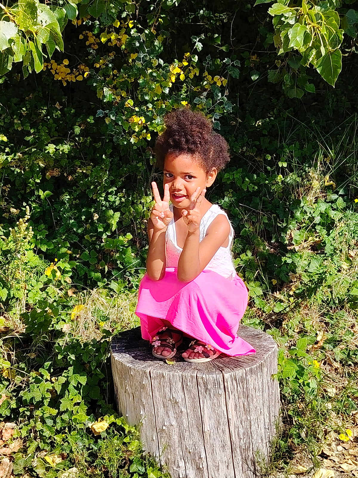 Malya participe au concours pour gagner de l'argent avec cette photo : child, girl, tree_stump, greenery, plants, sunlight, outdoor, nature, peace_sign, smiling, curly_hair, pink_skirt, sandals, flowers, grass, leaves, summer, portrait, playful, casual