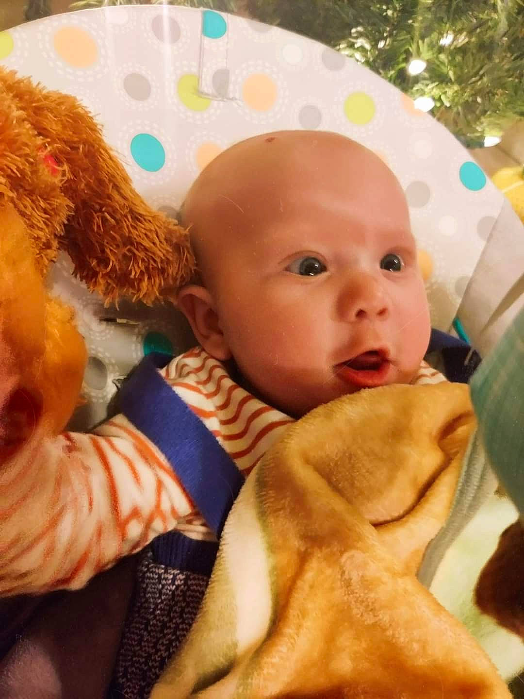 Ash joined the competition — help win amazing prizes! baby, cheek, child, comfort, face, fawn, fun, fur, happy, head, human, mouth, nose, person, play, room, skin, stuffed_toy, textile, toddler