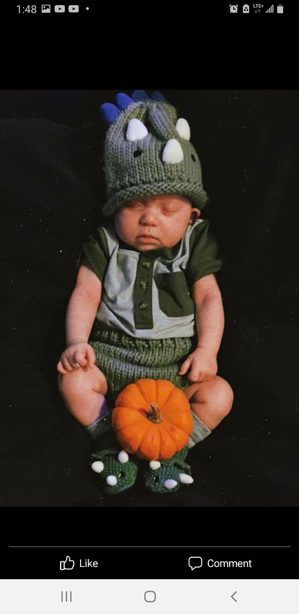 Ash joined the competition — help win amazing prizes! baby, baby_toddler_clothing, calabaza, cap, dress, flash_photography, grass, happy, head, headgear, headwear, human_body, jeans, leaf, natural_foods, people_in_nature, person, plant, sleeve, toddler