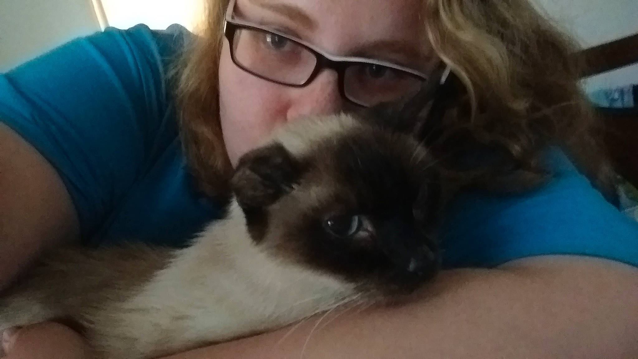 Charlie Chan is registered to the contest to win money with this photo: balinese, carnivore, cat, comfort, companion_dog, dog_breed, ear, eyewear, fawn, felidae, fur, glasses, hair, mammal, organ, siamese, small_to_medium_sized_cats, vertebrate, vision_care, whiskers