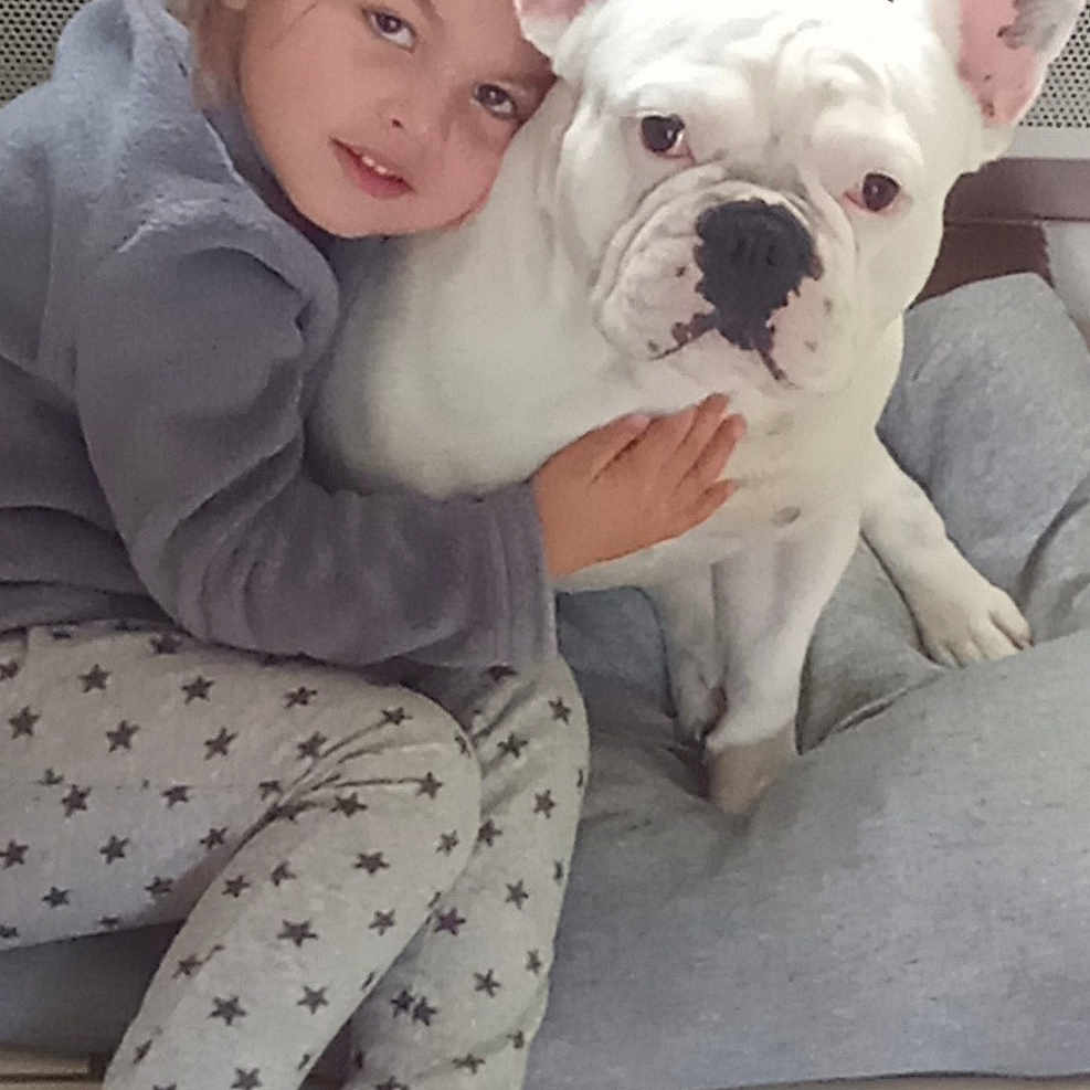 Ruben a rejoint le concours — aidez-le/la à gagner de superbes lots ! affection, barefoot, child, closeup, comfort, cuddle, cushion, dog, expression, face, floor, french_bulldog, friendship, hug, indoor, pajamas, pet, resting, stars, young