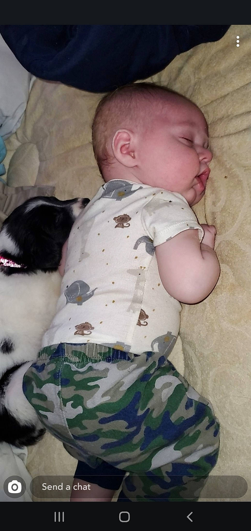Beaux is registered to the contest to win money with this photo: baby, canidae, cheek, child, companion_dog, dog_breed, fawn, nap, non_sporting_group, person, sleep, toddler