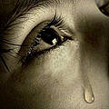 Severine C.