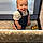 Dominic
