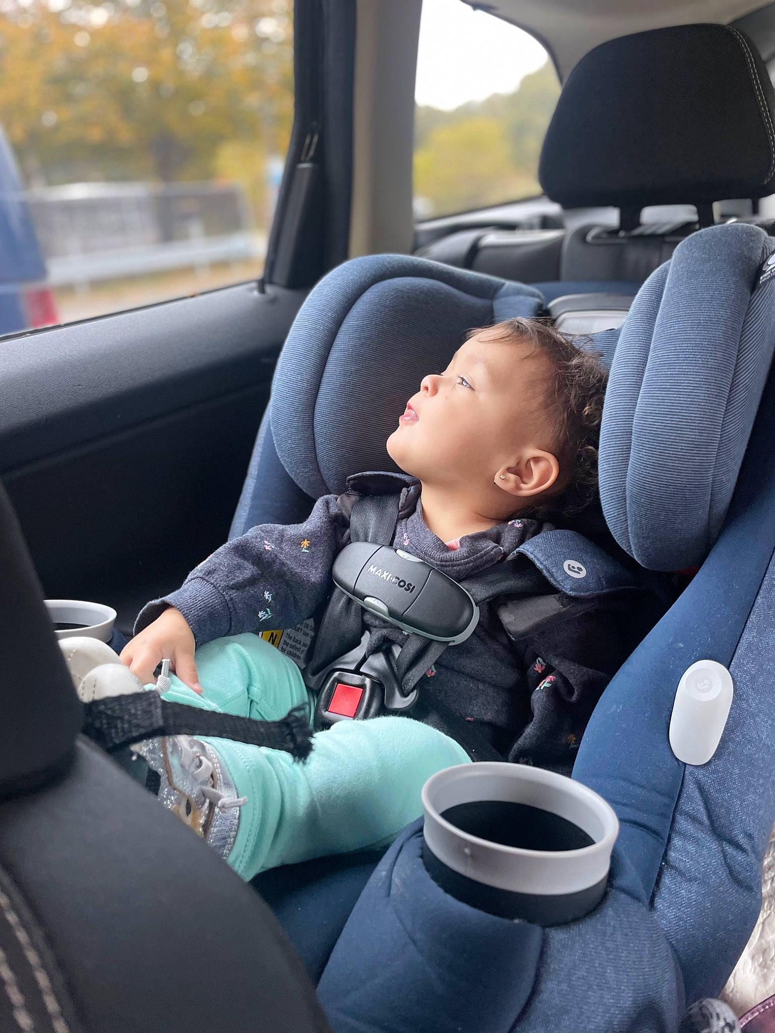 Paisley is registered to the contest to win money with this photo: auto_part, automotive_design, automotive_exterior, car, car_seat, car_seat_cover, child, comfort, family_car, head_restraint, luxury_vehicle, motor_vehicle, passenger, person, personal_luxury_car, seat_belt, steering_part, steering_wheel, toddler, vehicle