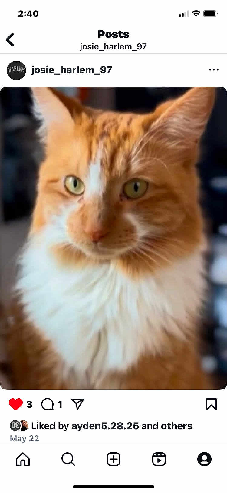 Luna