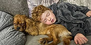 Cooper joined the competition — help win amazing prizes! blanket, boy, casual_clothing, child, companion, couch, cozy, curly_hair, cute, dog, domestic_animal, fur, indoors, nap, pet, pillow, relaxing, resting, sleeping, young