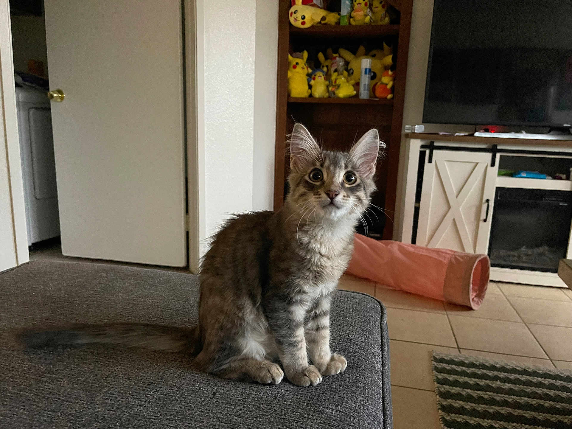 Thomas