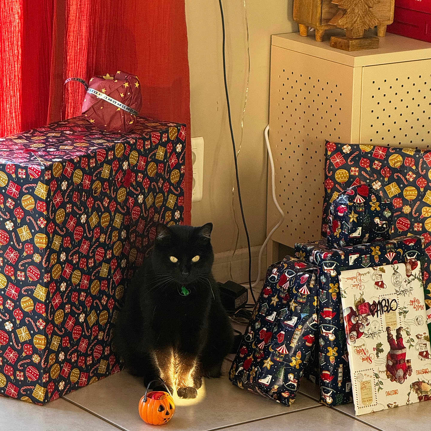 Piloute a rejoint le concours — aidez-le/la à gagner de superbes lots ! black_cat, cat, cord, decor, festive, floor, gift_wrap, green_collar, holiday, holiday_gifts, indoor, pet, pumpkin_bucket, red_curtain, shadow, sunlight, tile_floor, wall_socket, wooden_box, wrapped_presents