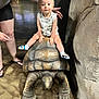 child, toddler, adult, tortoise, statue, indoor, stone_wall, wood_floor, support, curious, sitting, playful, animal_replica, person, shorts, socks, tattoo, hand, expression, footwear
